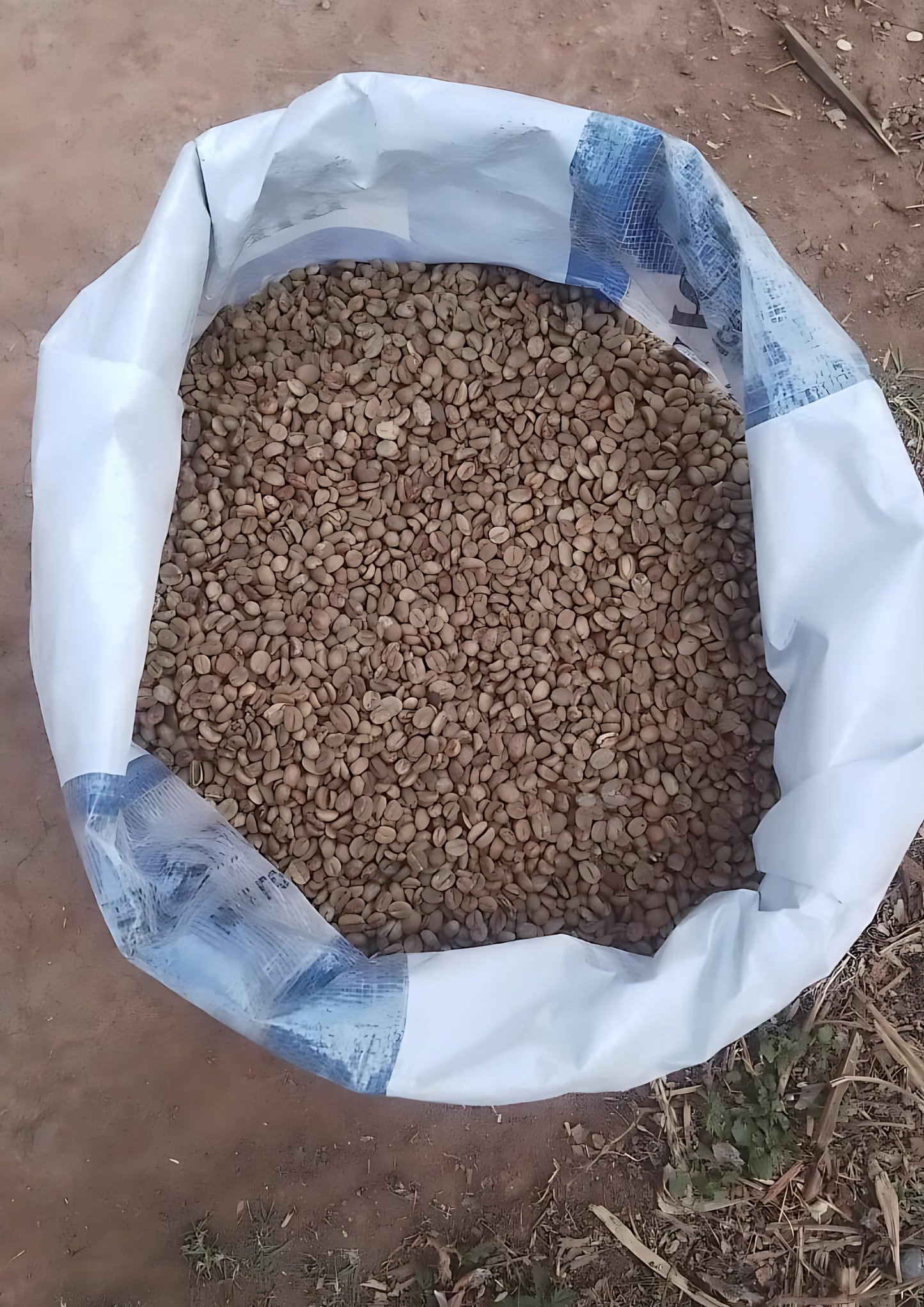 50 KG Green Coffee Beans