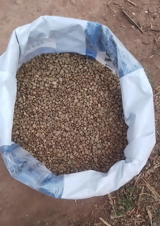 50 KG Green Coffee Beans